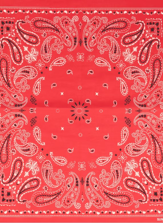 Suncoo Alambra Red Printed Neck Scarf